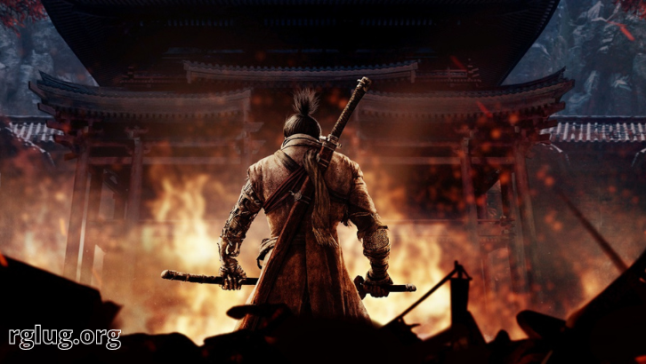 Find Out What Ashina Samurai Need